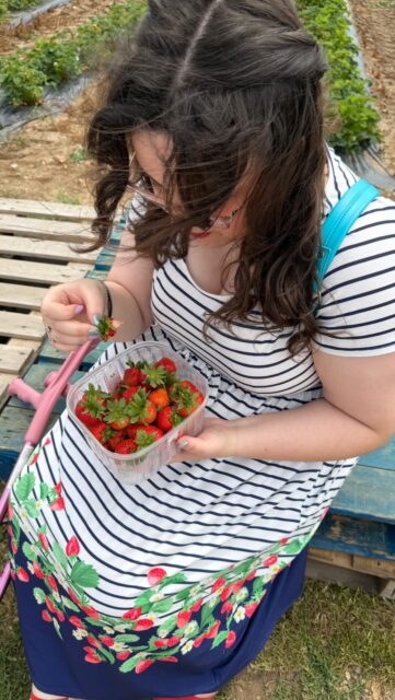 AD It’s finally strawberry season 🍓
Had the best day at the PYO fieldsOOTD details:
Stunning dress gifted from @popsyclothing
Crutches from @careco_mobility
Shoes are secondhand
Bag from @disneyparksuk
Glasses @specsaversAD PR my dress was gifted. Other items bought myself.VD: A white woman with brown hair is wearing a light colour striped dress with strawberries at the bottom. She is walking around a strawberry field with her crutches.